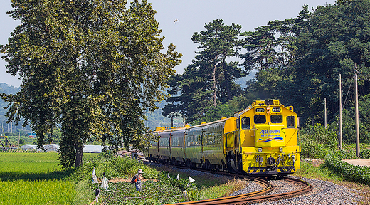 인구감소지역 여행하면 경비 50% 돌려받는다고요? 이건 진짜 꿀혜택!