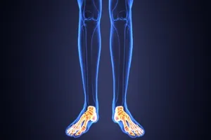 발목-통증-원인