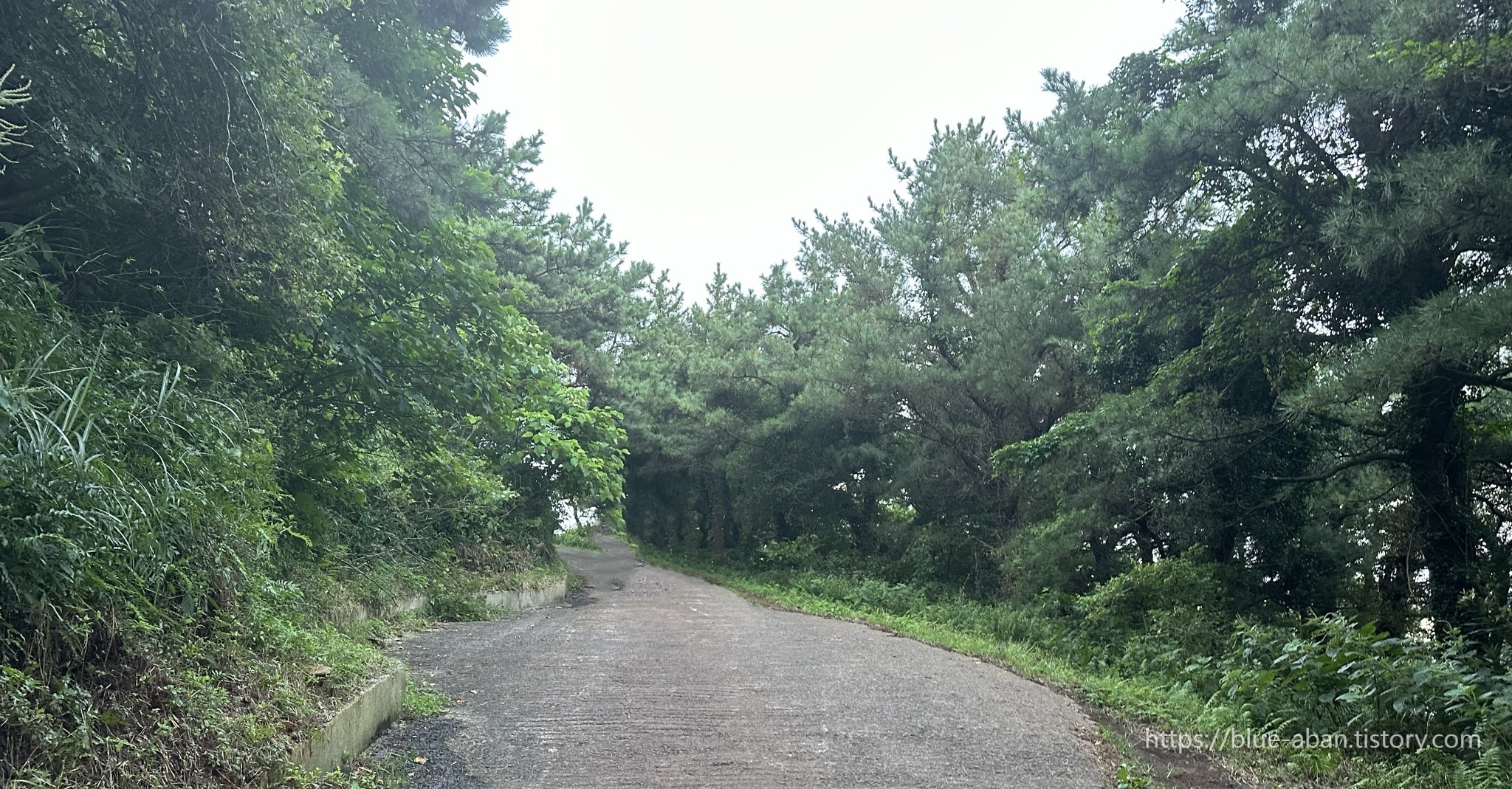 산책로