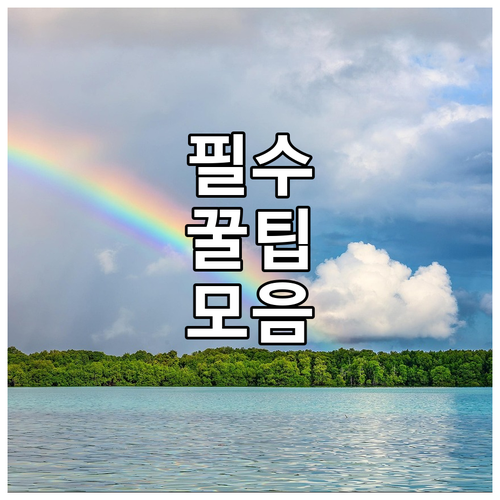 소상공인 상생페이백 오류 답답하셨죠?..