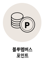 '블루멤버스 포인트'
