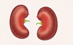 복부초음파 실비보험