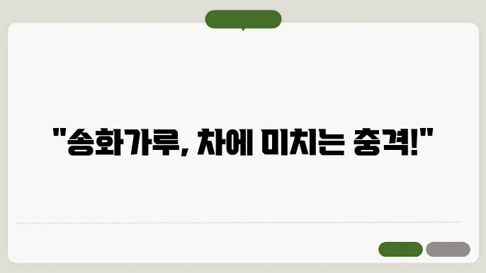 전문가 추천 세차 방법