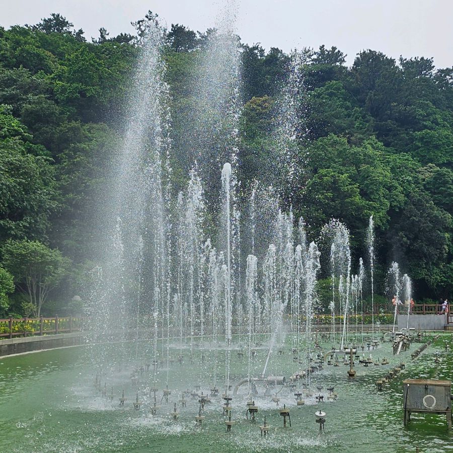 오동도