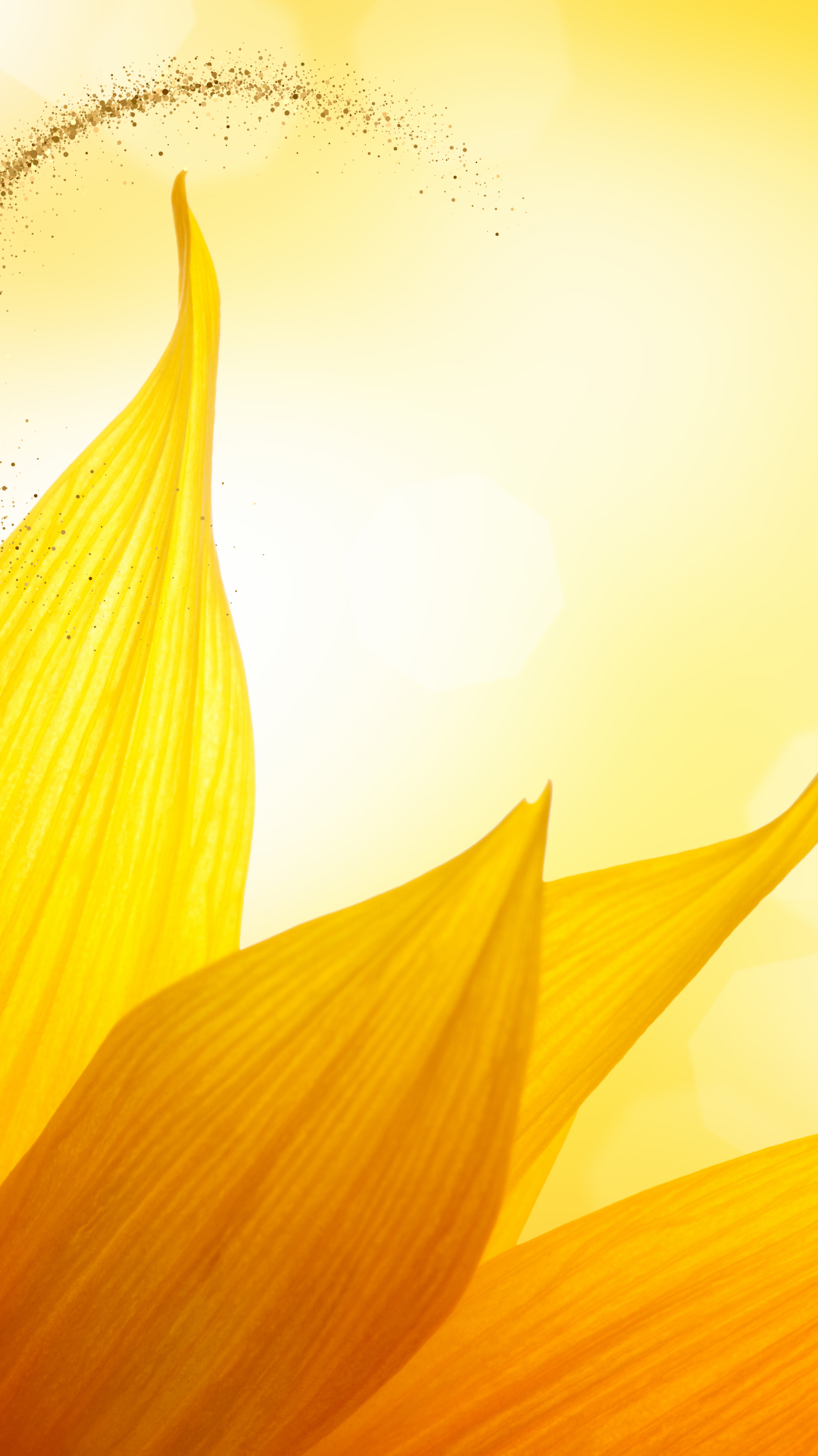 돈들어오는 그림 배경화면 사진