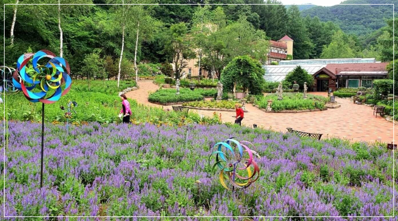 평창 가볼만한곳 베스트10 허브나라농원