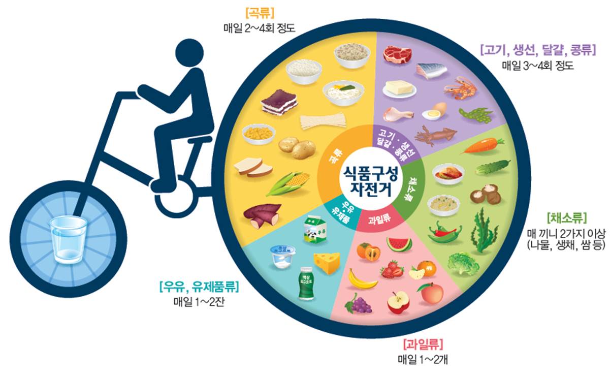 식품구성 영양소