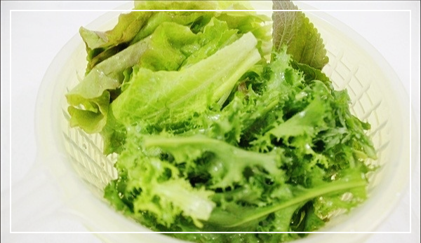 치커리-효능
