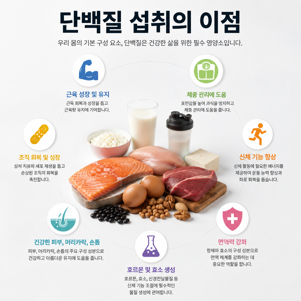 단백질 섭취