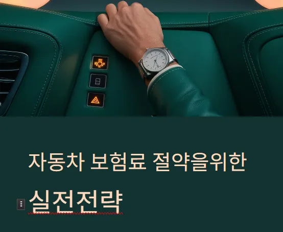 자동차 보험 실전전략