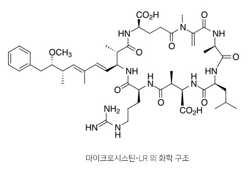 마이크로시스틴-LR의 화학구조