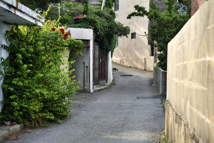 동삼1구역 재개발 지역