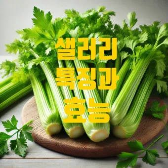샐러리 효능 알고 먹는법 잎 생으로 손질법 요리_18