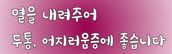  열을 내려주어 두통, 어지러움증에 좋습니다