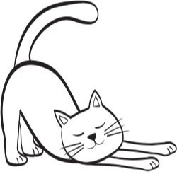 밤마다 체지방 태우는 간단 루틴 - 가벼운 운동 루틴