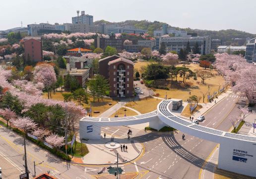 아산 벚꽃