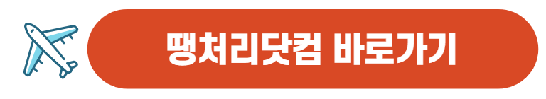 땡처리 항공권