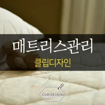 매트리스 관리 청소기 베이킹소다 회전주기 방수커버 팁_25