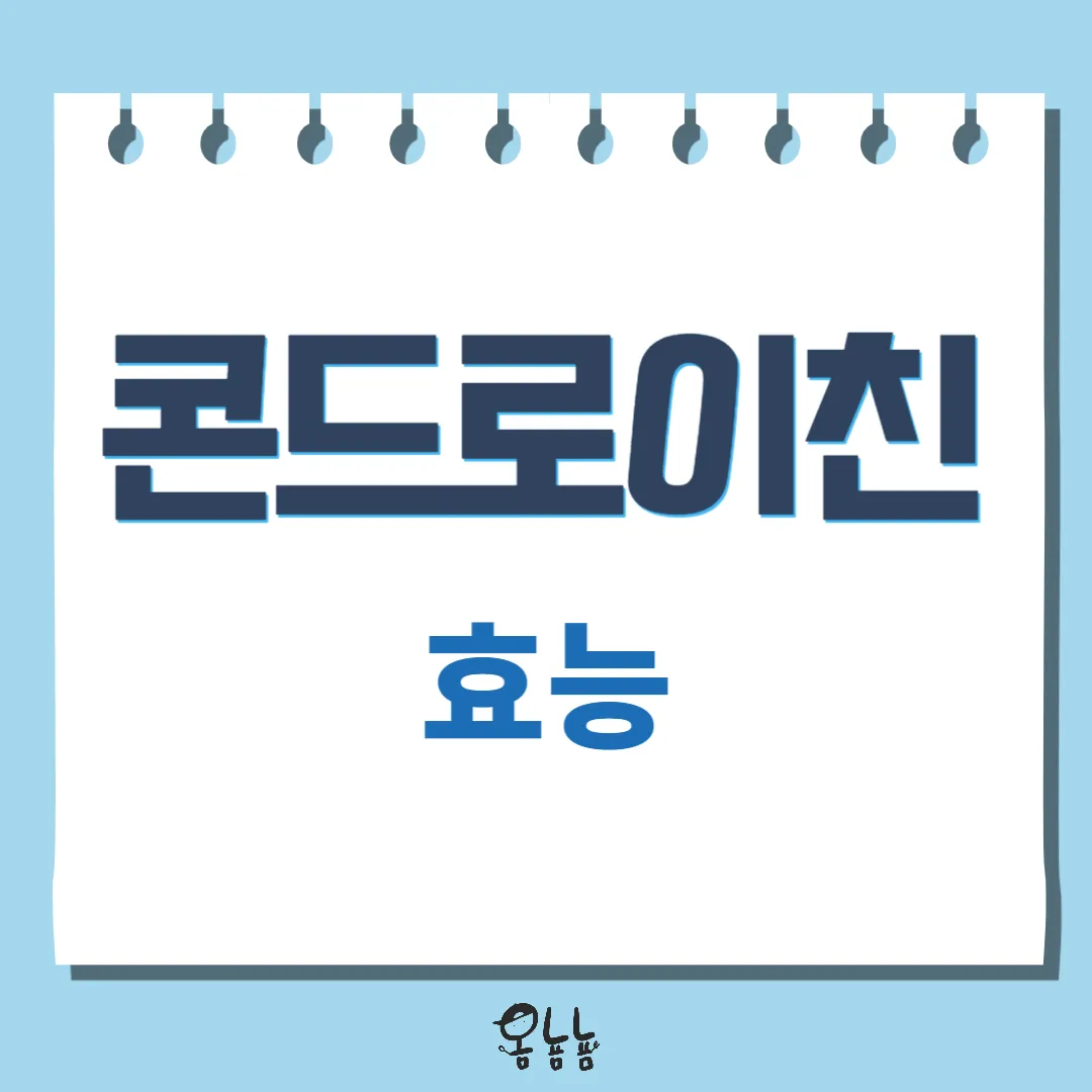 콘드로이친 효능