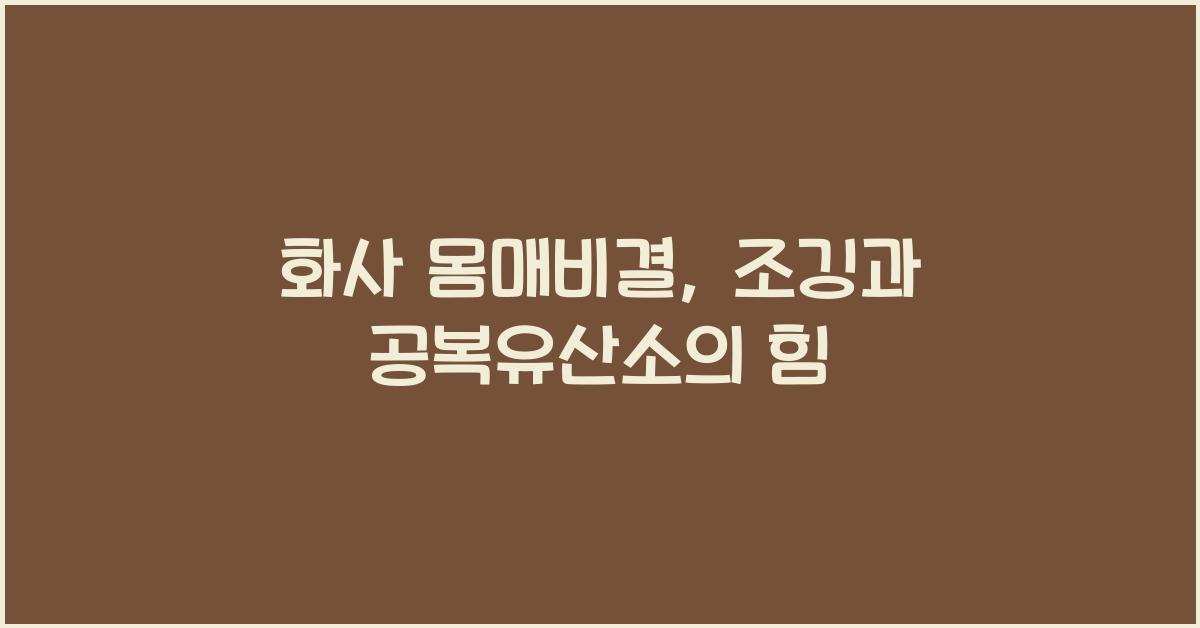 화사 몸매비결 조깅 공복유산소