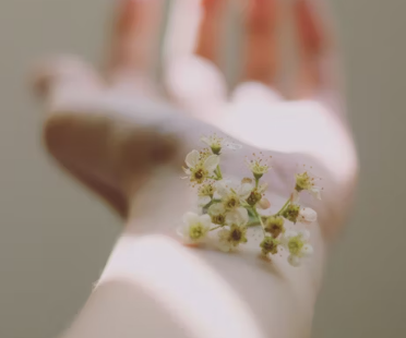 피부 건조증 진단기준 치료방법 합병증 관리