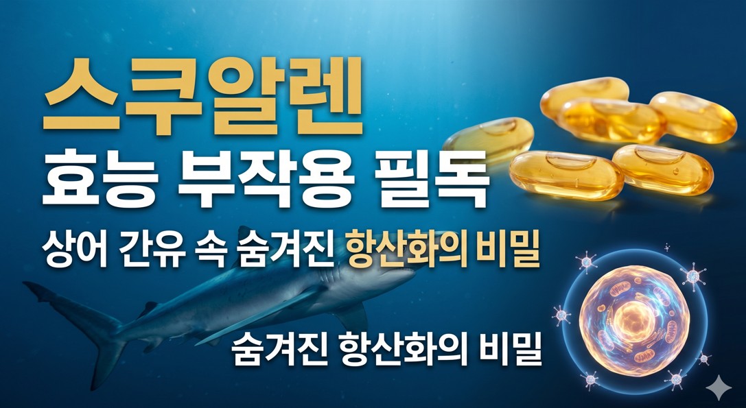 스쿠알렌 효능 부작용 필독, 상어 간유 속 숨겨진 항산화의 비밀