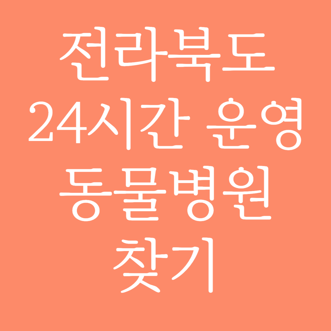 전라북도 24시간 운영 동물병원 찾기