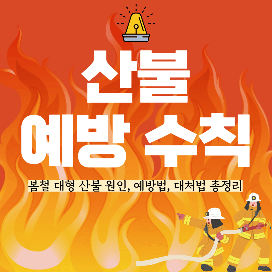 산불 예방 수칙