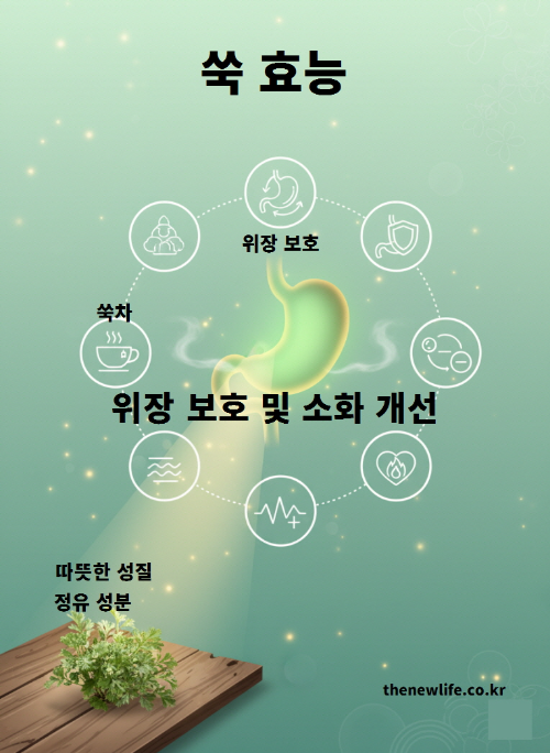 쑥 효능을 표현한 위장 보호 일러스트 – 따뜻한 성질과 정유 성분이 소화를 돕고 위를 보호하는 모습을 시각적으로 표현