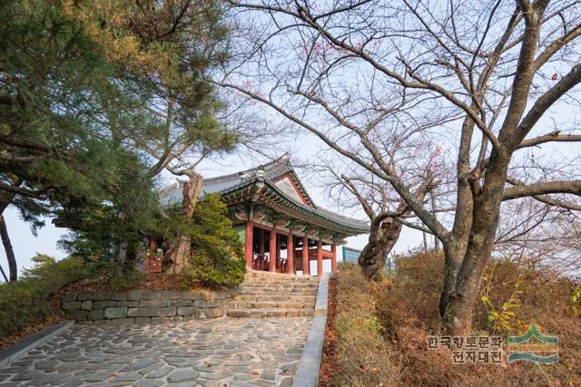 경포대 해수욕장 여름 물놀이 여행지와 맛집 코스 정리_4