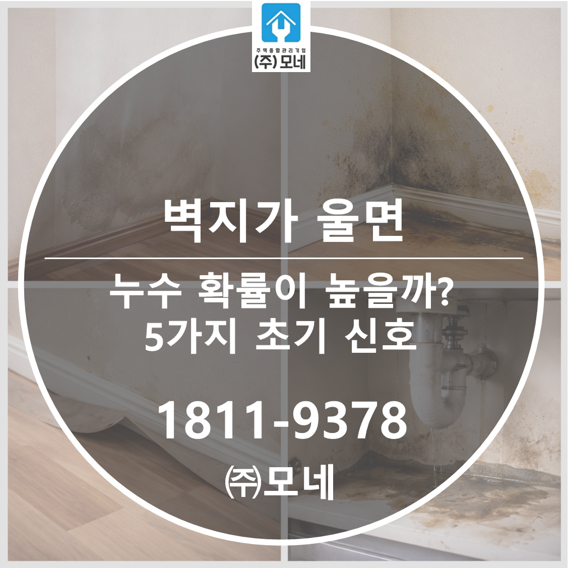 벽지가 울면 누수 확률이 높을까? 5가지 초기 신호