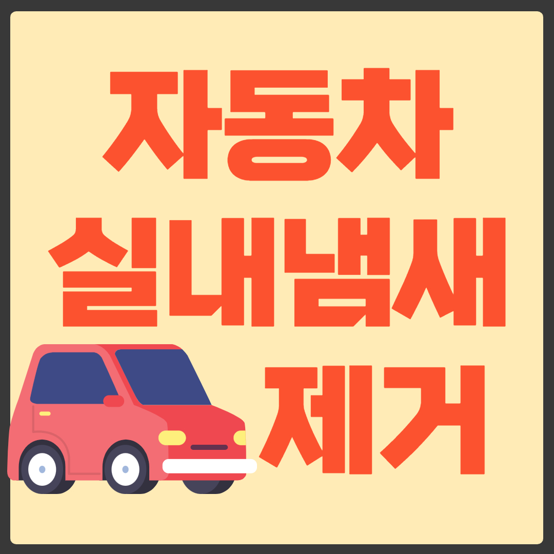 차 실내 냄새 제거