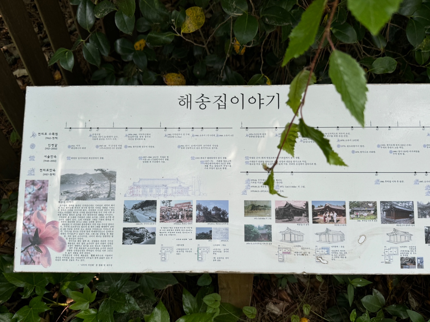 천리포수목원