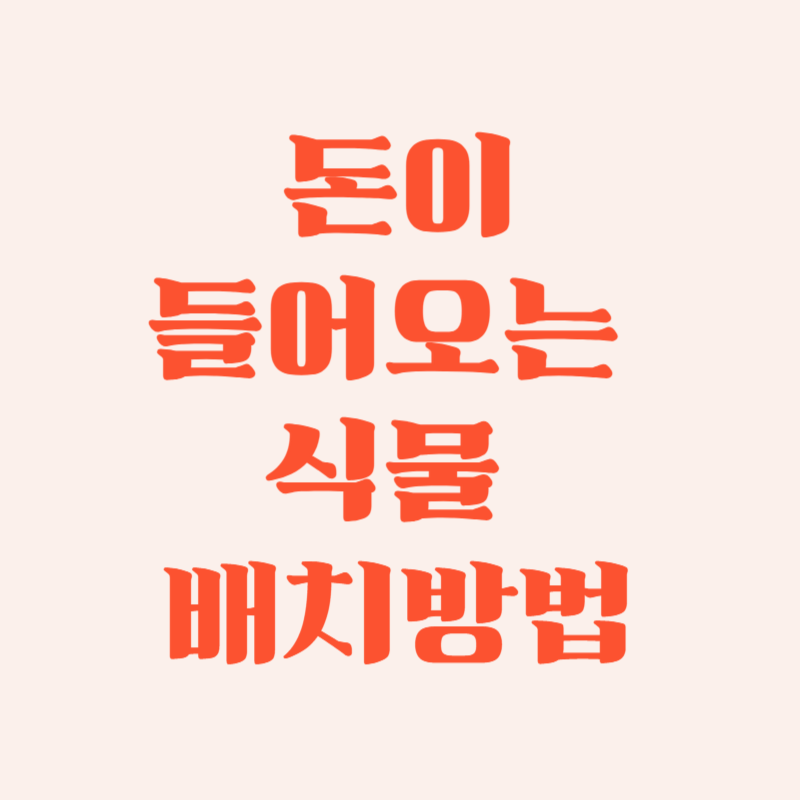 돈이 들어오는 식물 배치방법