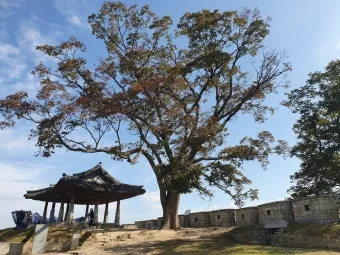 강화도 당일치기 완벽 코스 교동도 대룡시장부터 강화성당 금풍양조장까지로 구성_27