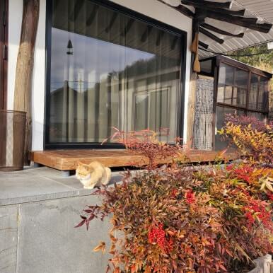 부산 근교 밀양 한옥 독채 숙소