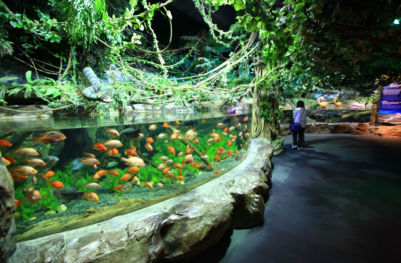 부산-아쿠아리움