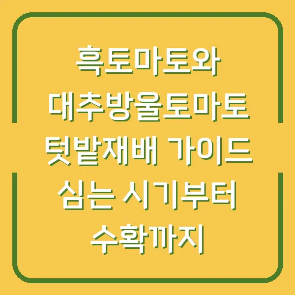 흑토마토와 대추방울토마토 텃밭재배 가이드 심는 시기부터 수확까지