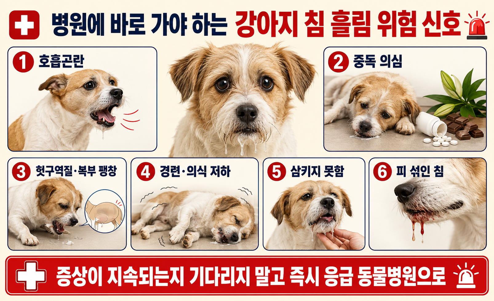 호흡곤란&middot;중독&middot;복부 팽창&middot;경련&middot;삼킴 장애&middot;피 섞인 침 등 강아지 응급진료 위험 신호