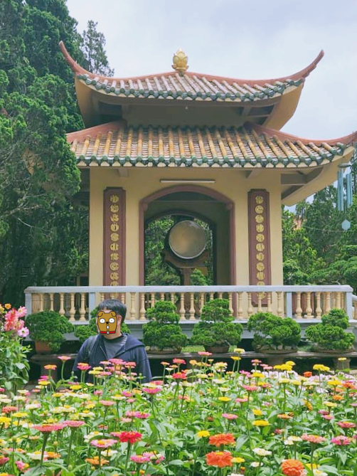 달랏 꽃 정원 산책 풍경