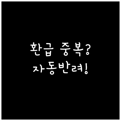 출국납부금 환급 중복 신청 시 자동 ..