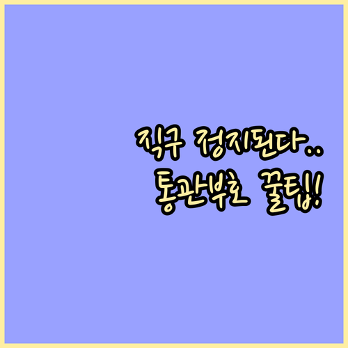 해외 직구 개인통관고유부호 유니패스 ..