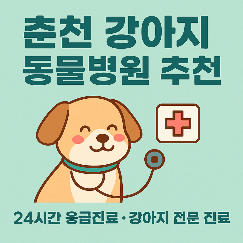 춘천시-강아지-전문-동물병원-추천-진료과목-안내