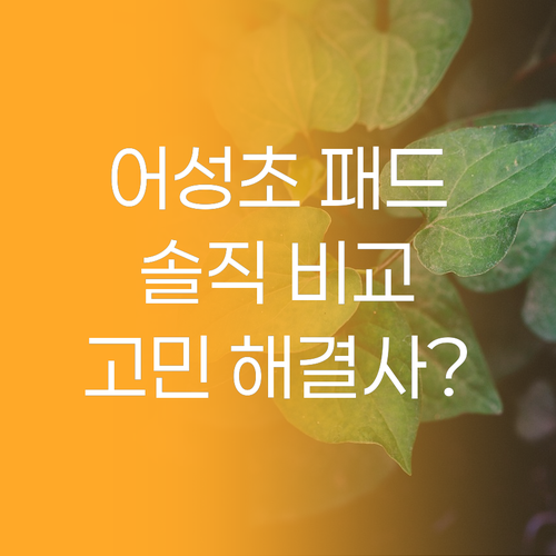 어성초 패드, 내 피부 고민 해결사?