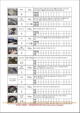 낚시 시즌별 대상어 봄 감성돔 여름 전어 가을 갈치 겨울 빙어_6