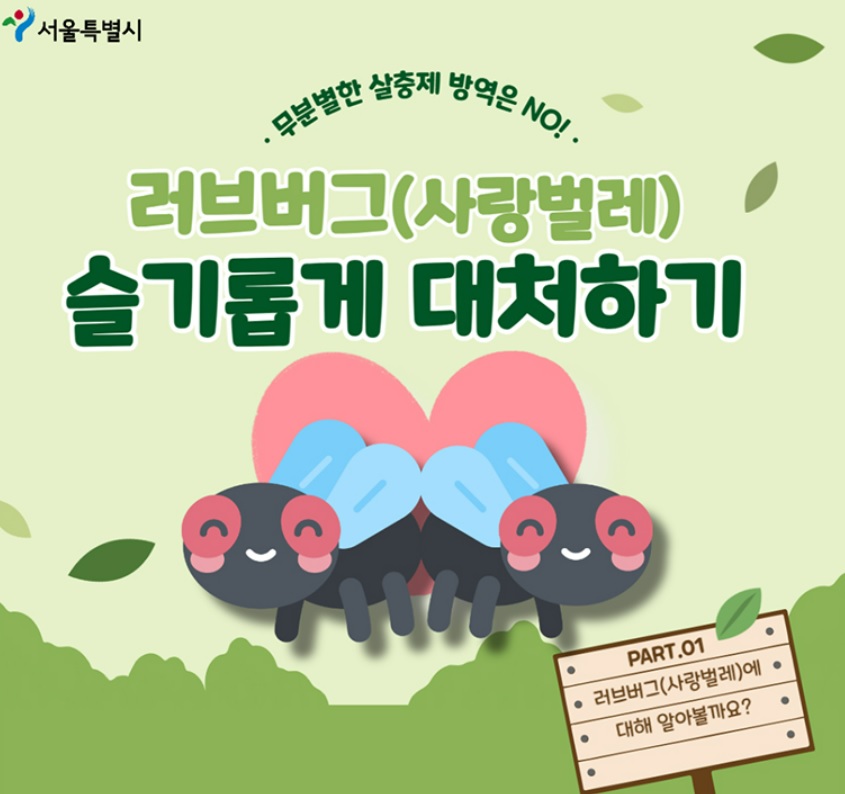 러그버그
