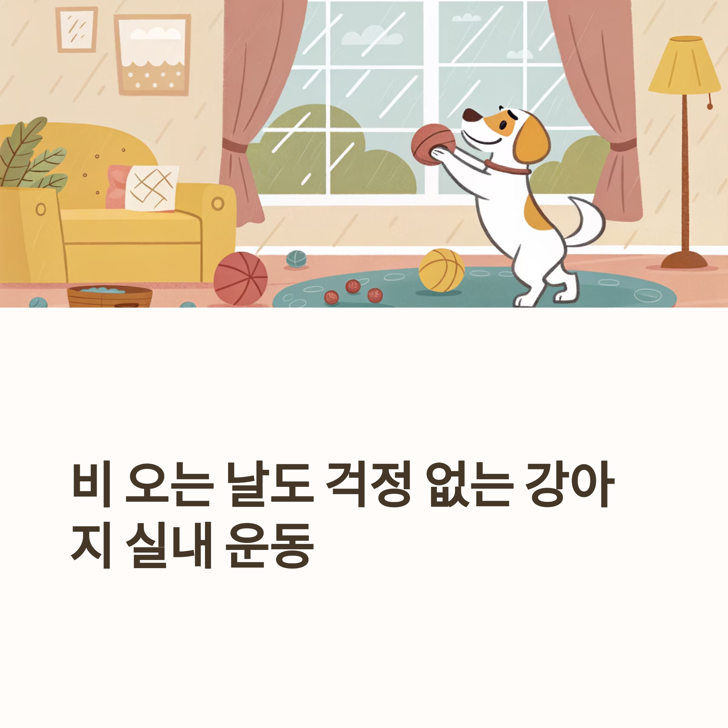 비 오는 날도 걱정 없는 강아지 실내운동
