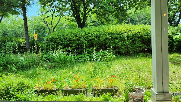 일산뽀모도로 파스타맛집
