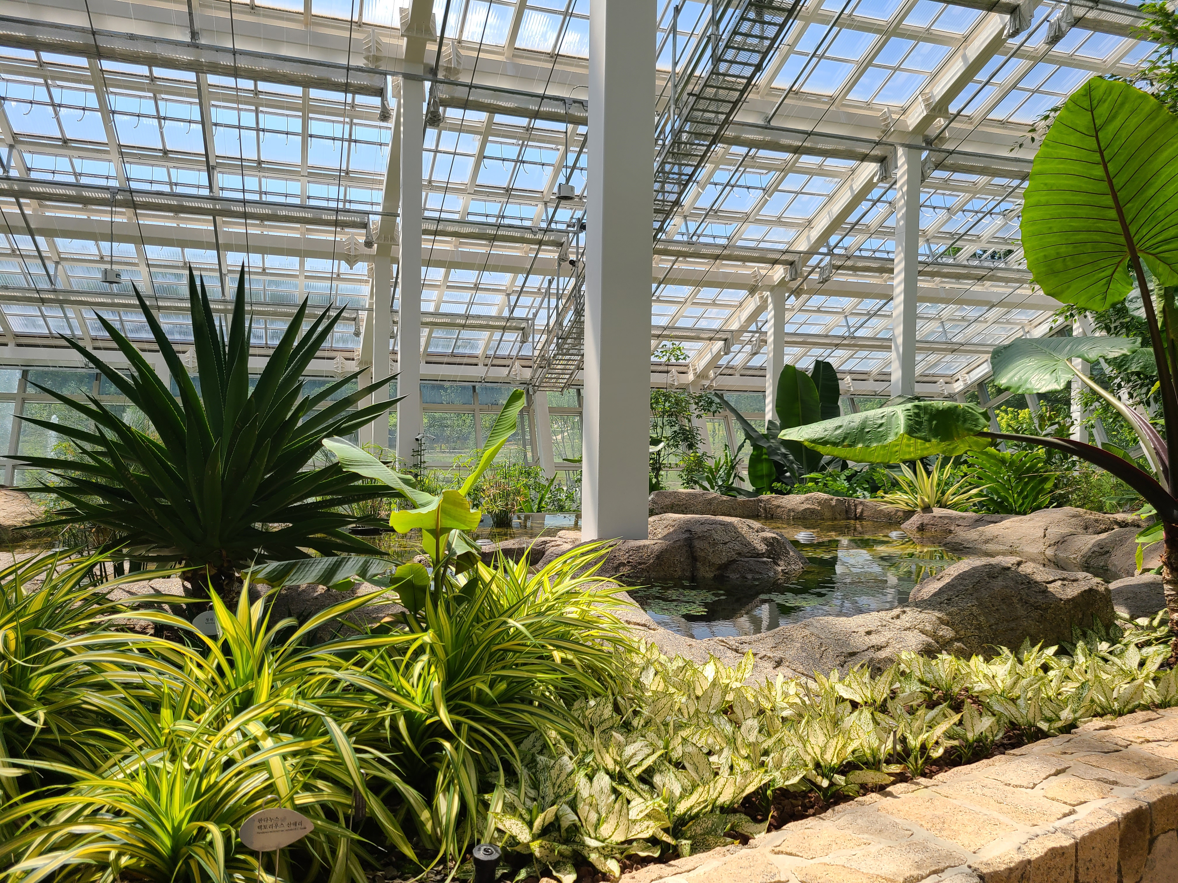 영흥공원 온실 내부 2