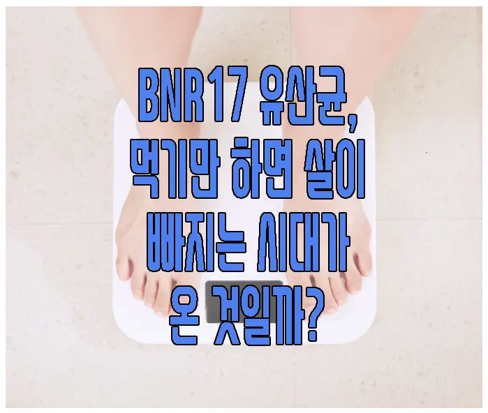 BNR17 유산균에 관한 글 보러 가기 링크 사진